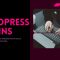 WordPress Plugins to Supercharge Content Creation